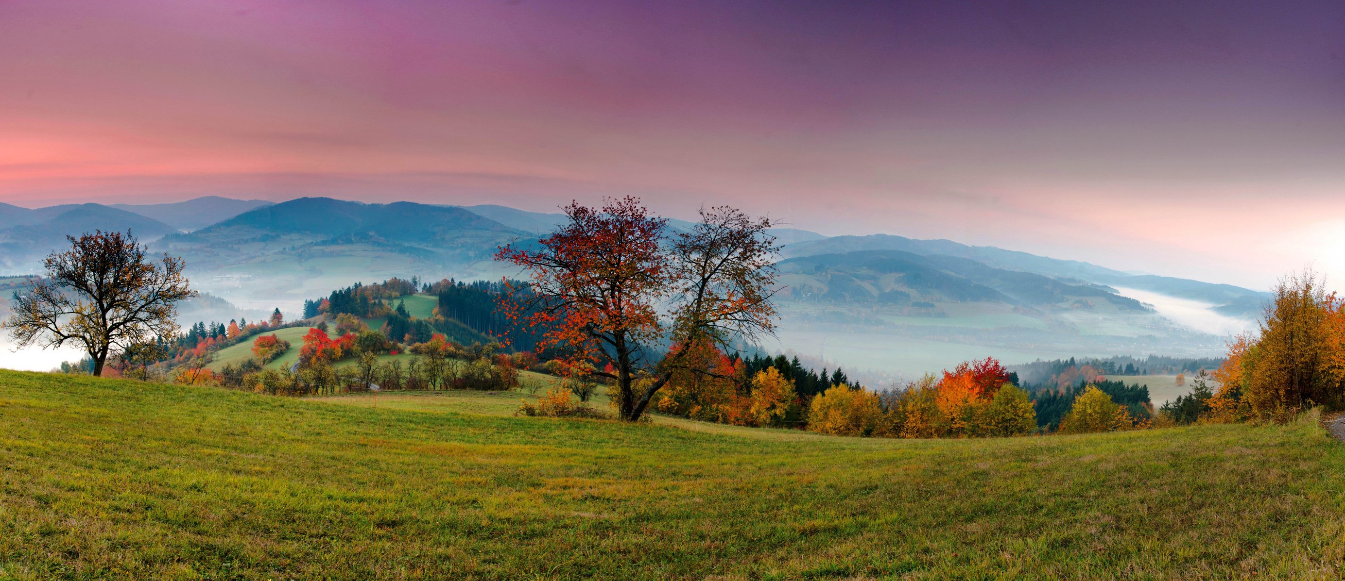 Landscape Panoramic View