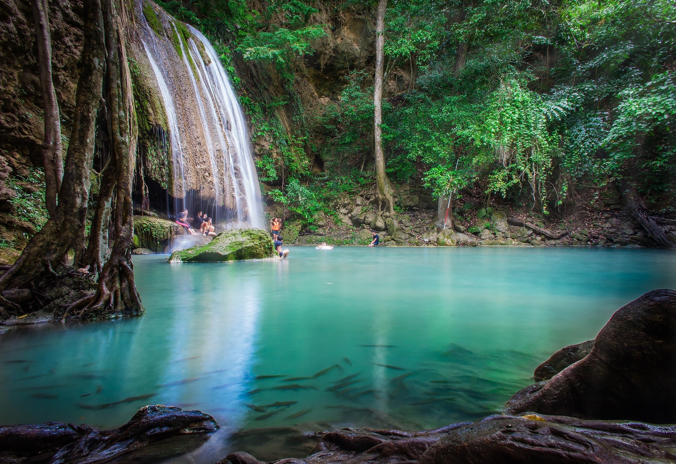 Beautiful Waterfall Landscape